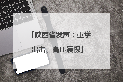 陕西省发声：重拳出击、高压震慑
