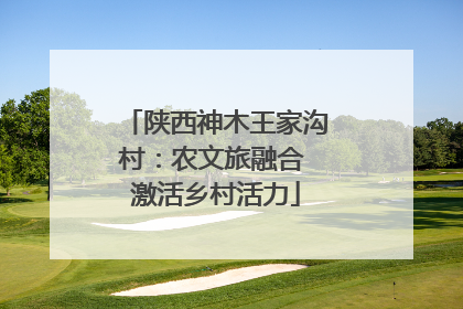 陕西神木王家沟村：农文旅融合 激活乡村活力