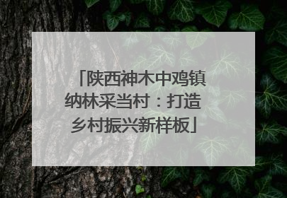 陕西神木中鸡镇纳林采当村：打造乡村振兴新样板