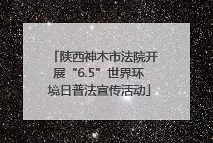 陕西神木市法院开展“6.5”世界环境日普法宣传活动