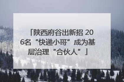 陕西府谷出新招 206名“快递小哥”成为基层治理“合伙人”
