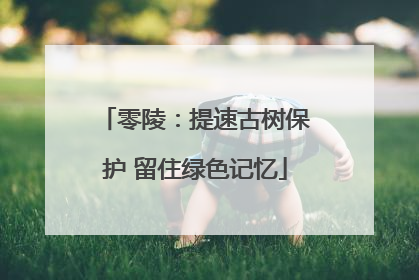 零陵：提速古树保护 留住绿色记忆