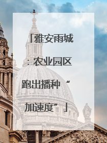 雅安雨城：农业园区跑出播种“加速度”