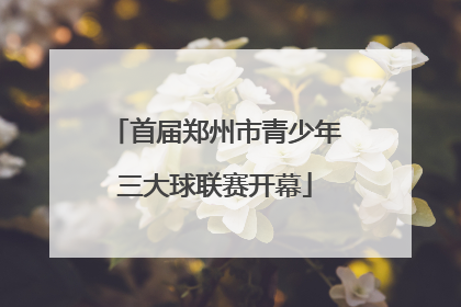 首届郑州市青少年三大球联赛开幕