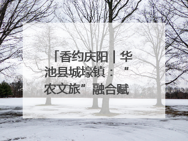 香约庆阳｜华池县城壕镇：“农文旅”融合赋能乡村振兴