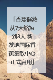 香蕉催熟从7天缩短到3天 新发地国际香蕉集散中心正式启用