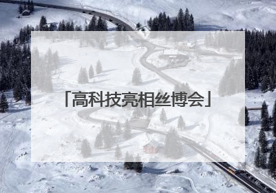 高科技亮相丝博会