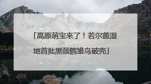 高原萌宝来了！若尔盖湿地首批黑颈鹤雏鸟破壳