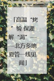 高温“烤”验 保灌解“渴”——北方多地夏管一线见闻