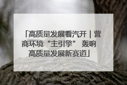 高质量发展看汽开｜营商环境“主引擎” 轰响高质量发展新赛道