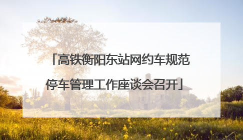 高铁衡阳东站网约车规范停车管理工作座谈会召开
