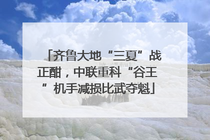 齐鲁大地“三夏”战正酣，中联重科“谷王”机手减损比武夺魁
