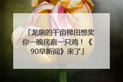 龙泉的千亩梯田想奖你一晚民宿一只鸡！《90早新闻》来了