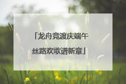 龙舟竞渡庆端午 丝路欢歌谱新章