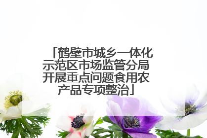 鹤壁市城乡一体化示范区市场监管分局开展重点问题食用农产品专项整治