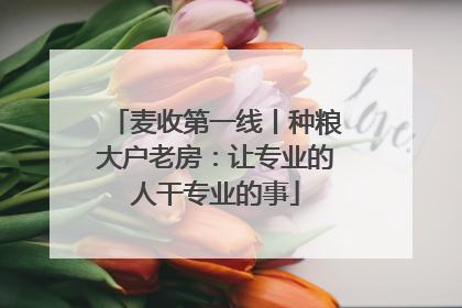 麦收第一线丨种粮大户老房：让专业的人干专业的事