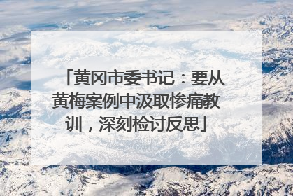 黄冈市委书记：要从黄梅案例中汲取惨痛教训，深刻检讨反思