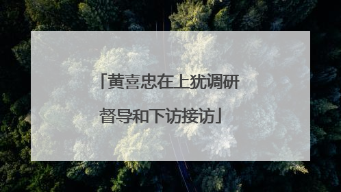 黄喜忠在上犹调研督导和下访接访