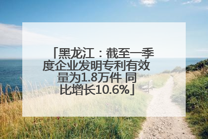 黑龙江：截至一季度企业发明专利有效量为1.8万件 同比增长10.6%