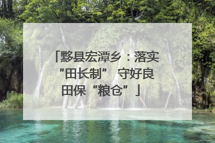 黟县宏潭乡：落实“田长制” 守好良田保“粮仓”