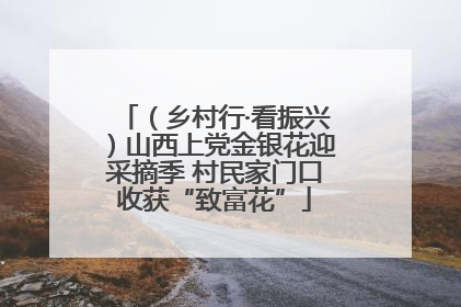 （乡村行·看振兴）山西上党金银花迎采摘季 村民家门口收获“致富花”