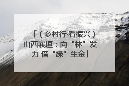 （乡村行·看振兴）山西襄垣：向“林”发力 借“绿”生金
