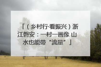（乡村行·看振兴）浙江磐安：一村一画像 山水也能带“流量”