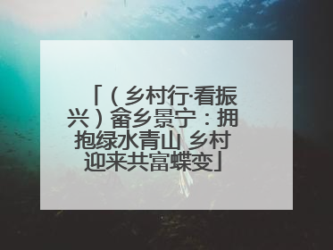 （乡村行·看振兴）畲乡景宁：拥抱绿水青山 乡村迎来共富蝶变
