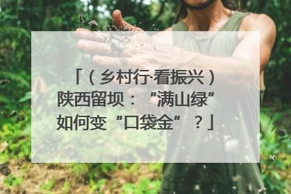 （乡村行·看振兴）陕西留坝：“满山绿”如何变“口袋金”？