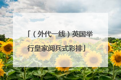 （外代一线）英国举行皇家阅兵式彩排