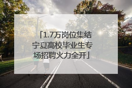 1.7万岗位集结 宁夏高校毕业生专场招聘火力全开