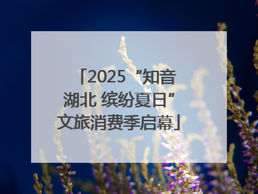 2025“知音湖北 缤纷夏日”文旅消费季启幕