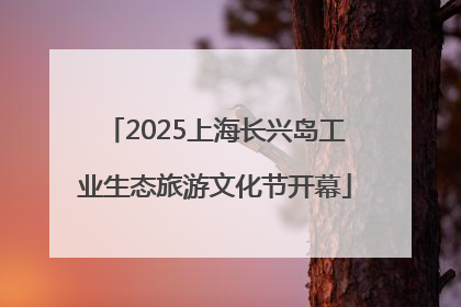 2025上海长兴岛工业生态旅游文化节开幕