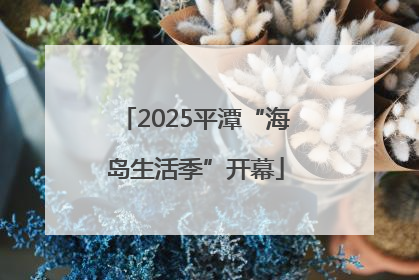 2025平潭“海岛生活季”开幕