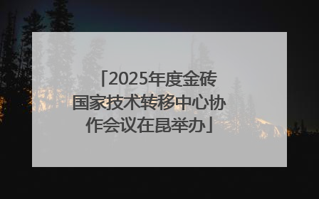 2025年度金砖国家技术转移中心协作会议在昆举办