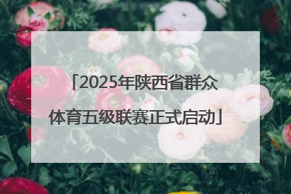 2025年陕西省群众体育五级联赛正式启动