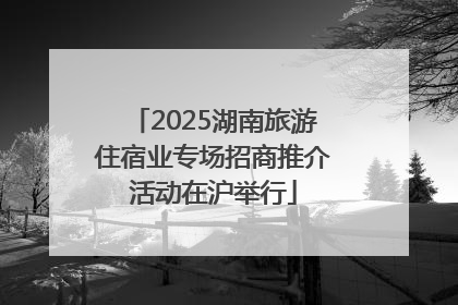 2025湖南旅游住宿业专场招商推介活动在沪举行