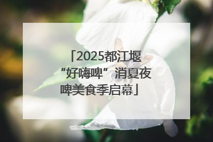 2025都江堰“好嗨啤”消夏夜啤美食季启幕
