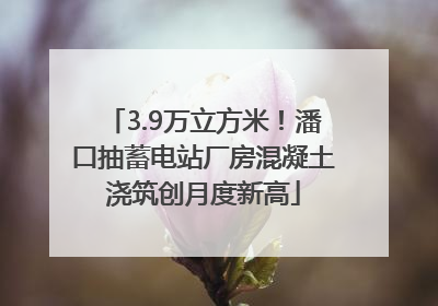 3.9万立方米！潘口抽蓄电站厂房混凝土浇筑创月度新高