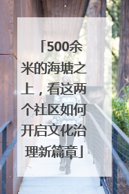 500余米的海塘之上，看这两个社区如何开启文化治理新篇章