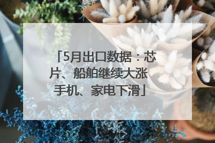 5月出口数据：芯片、船舶继续大涨 手机、家电下滑