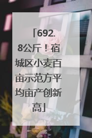 692.8公斤！宿城区小麦百亩示范方平均亩产创新高