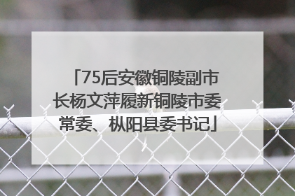 75后安徽铜陵副市长杨文萍履新铜陵市委常委、枞阳县委书记
