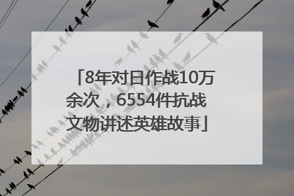 8年对日作战10万余次，6554件抗战文物讲述英雄故事