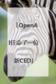 OpenAI任命了一位新CEO