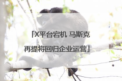 X平台宕机 马斯克再提将回归企业运营